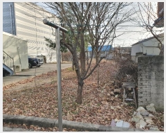  2024Ÿ10938   ̸ ϸ 419      