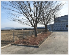  2024Ÿ10938   ̸ ϸ 419      