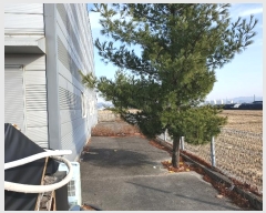  2024Ÿ10938   ̸ ϸ 419      