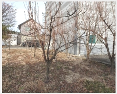  2024Ÿ10938   ̸ ϸ 419      