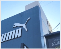  2024Ÿ��102851 �뱸 �ϱ� ������ 961-17       �ܵ�����,�����ð��