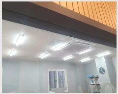  2024Ÿ��113981  �ٸ��ü����