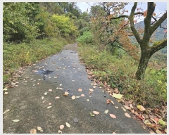  2024Ÿ122558  û  ۿ 1209      ()