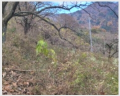  2024Ÿ122558  û  ۿ 1209      ()