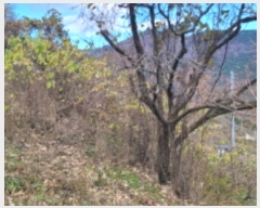  2024Ÿ122558  û  ۿ 1209      ()