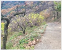  2024Ÿ122558  û  ۿ 1209      ()