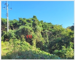  2024Ÿ123315   뼺 ̸ 39-8      (Ӿ)