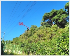  2024Ÿ123315   뼺 ̸ 39-8      (Ӿ)