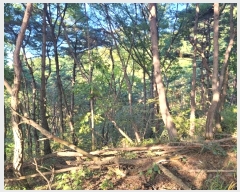  2024Ÿ123315   뼺 ̸ 39-8      (Ӿ)