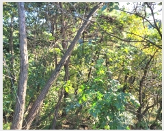  2024Ÿ123315   뼺 ̸ 39-8      (Ӿ)