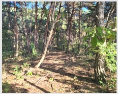  2024Ÿ123315   뼺 ̸ 39-8      (Ӿ)