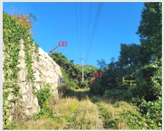  2024Ÿ123315   뼺 ̸ 39-8      (Ӿ)