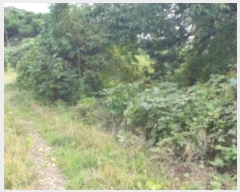  2024Ÿ123315   뼺 ̸ 39-8      (Ӿ)