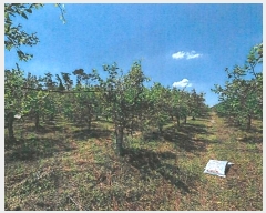  2024Ÿ��4933 ��� ��õ�� �Ż굿 715       ����(��1)���