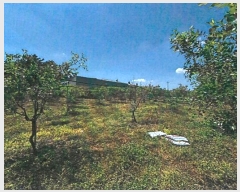  2024Ÿ��4933 ��� ��õ�� �Ż굿 715       ����(��1)���