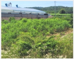  2024Ÿ��4933 ��� ��õ�� �Ż굿 715       ����(��1)���