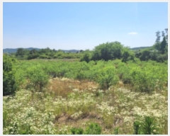  2024Ÿ��4933 ��� ��õ�� �Ż굿 715       ����(��1)���