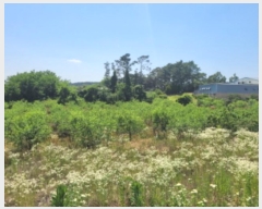  2024Ÿ��4933 ��� ��õ�� �Ż굿 715       ����(��1)���