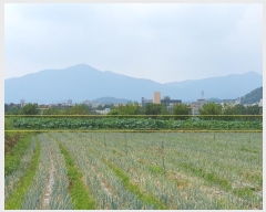  2024Ÿ��8256 �뱸 ���� ���� 459       ����(��)���