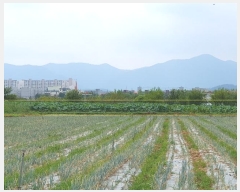  2024Ÿ��8256 �뱸 ���� ���� 459       ����(��)���