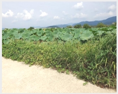  2024Ÿ��8256 �뱸 ���� ���� 459       ����(��)���