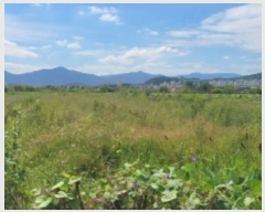  2024Ÿ��8256 �뱸 ���� ���� 459       ����(��)���