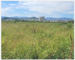  2024Ÿ��8256 �뱸 ���� ���� 459       ����(��)���