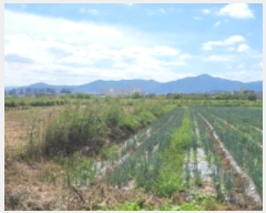  2024Ÿ��8256 �뱸 ���� ���� 459       ����(��)���