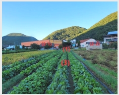  2024Ÿ��9983  ���ð��