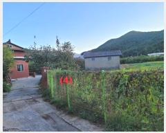  2024Ÿ��9983  ���ð��