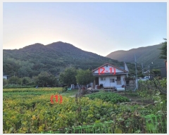  2024Ÿ��9983  ���ð��