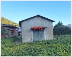  2024Ÿ��9983  ���ð��