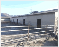  2024Ÿ11375  (󰡽ü)