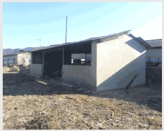  2024Ÿ11375  (󰡽ü)