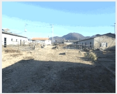  2024Ÿ11375  (󰡽ü)