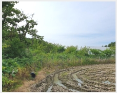  2024Ÿ111107  û ȭ  646      ()