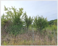  2024Ÿ111107  û ȭ  646      ()