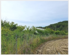  2024Ÿ111107  û ȭ  646      ()