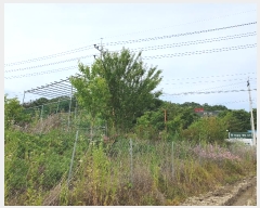  2024Ÿ111107  û ȭ  646      ()