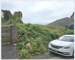  2024Ÿ��124196  �������