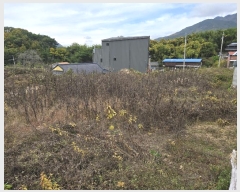  2024Ÿ��124196  �������