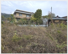  2024Ÿ��124196  �������