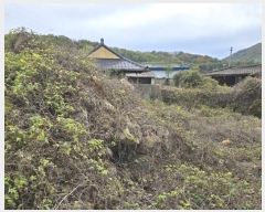  2024Ÿ��124196  �������