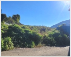  2024Ÿ��124196  �������