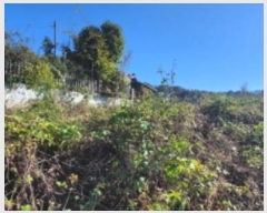  2024Ÿ��124196  �������