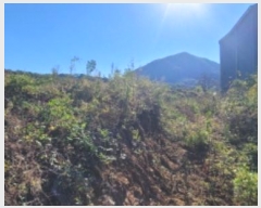  2024Ÿ��124196  �������