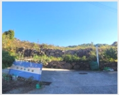  2024Ÿ��124196  �������