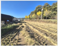  2024Ÿ��125199 ��� ĥ� ���� �򺹸� 986-2      ����(����)���