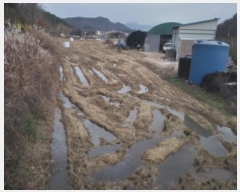  2024Ÿ��125199 ��� ĥ� ���� �򺹸� 986-2      ����(����)���