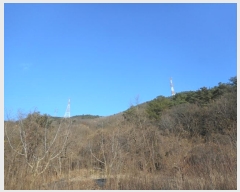  2024Ÿ��126802 ��� ���� �Ͼ��� �� ��16      ����(�Ӿ�)���